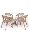 Conjunto de Resina CARISMA - Resina 100% Reciclable. Para Interior y Exterior (Café)