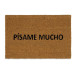 Felpudo Písame Mucho AX71029 40x60 cm.