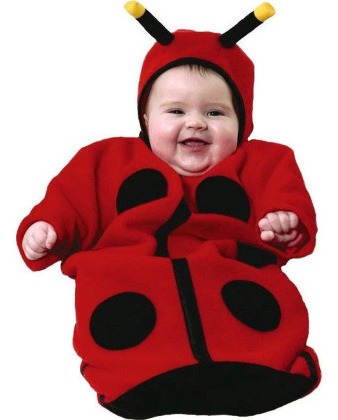 Disfraz Bebé Saquito Mariquita 92016 D9201 - 6 Meses