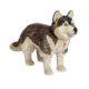 Peluche Husky T91934 6 50 cm.