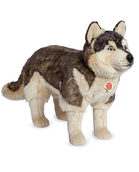 Peluche Husky T91934 6 50 cm.