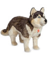 Peluche Husky T91934 6 50 cm.