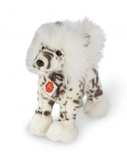 Perro con cresta de pie T919490 25cm