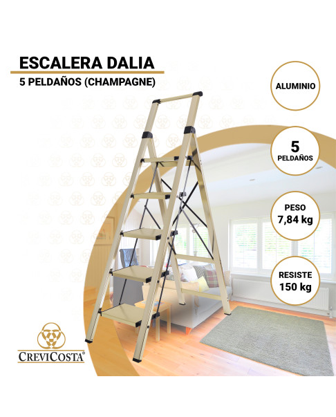 Escalera Aluminio con Mango (Champagne) 5 peldaños Dalia