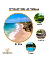 LOTE TUMBONAS LENA Beige