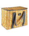 Bolso Térmico 35 x 22 x 31 cm (23L) Trenzado