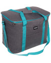 Bolso Térmico FUSIÓN 43 x 26,5 x 33 cm (38L) Turquesa