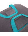 Bolso Térmico FUSIÓN 43 x 26,5 x 33 cm (38L) Turquesa
