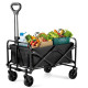 Carrito de Playa Plegable con Asa Telescópica, Carretilla Plegable con Ruedas y Frenos - 4 Ruedas (Negro S)
