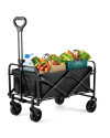 Carrito de playa Negro Pequeño