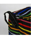 Bolso Térmico PRESTIGE 30 x 22 x 28 cm (18L) Arcoíris